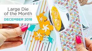 3.7K views · 77 reactions | The all-new December Large Die of the...