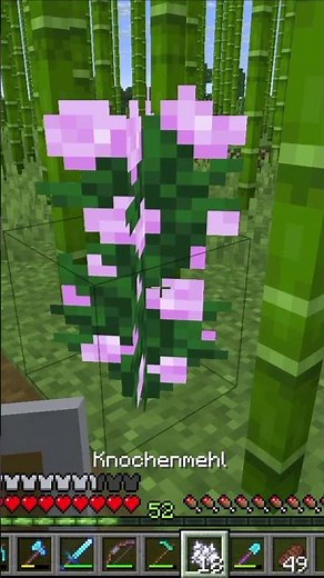 Here's how to propagate large flowers in Minecraft.