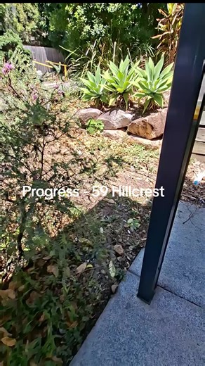 Transform Your Space with Expert Bond Cleaning Services