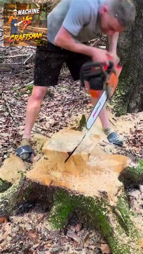 🔝 Best Way to Cut Trees at Height — Fast & Safe Chainsaw Tips #wood #gardenideastips #woodscraft