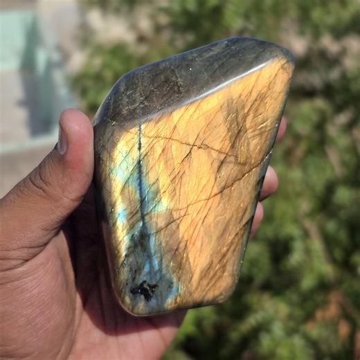 Golden Flash Labradorite Freeform: Intense Labradorescence, Blue Highlights, Collector Specimen - Etsy