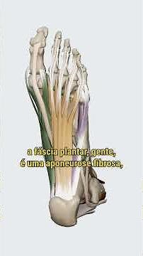 DO YOU KNOW THE ANATOMY OF THE PLANTAR FASCIA? 🦶