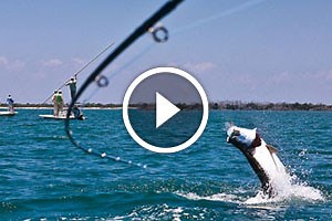 How to Tie a IGFA Compliant Tarpon Leader for Fly Fishing – International Game Fish Association