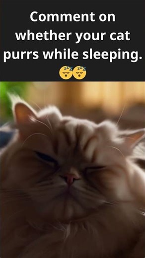 Cat Purring while Sleeping😴｜Persian cat💚 #ai #cat #kitten