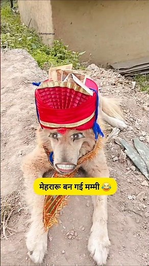 मेहरारू बन गई मम्मी #funny #thetharpuns #shilpisaroja #comedy