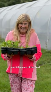 4K views · 66 reactions | My tips for transitioning into flower...