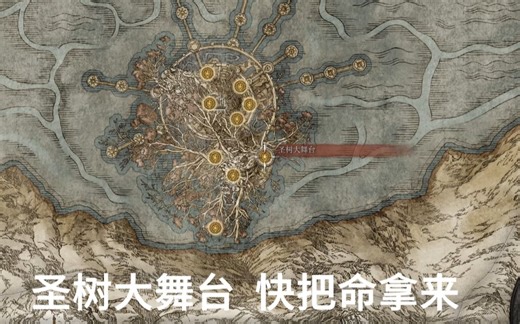 圣树大舞台，快点纳命来