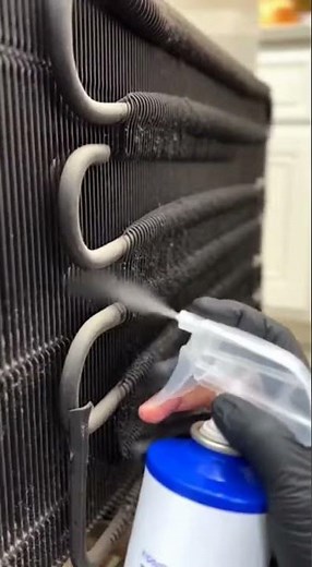 Revive Your Fridge: Clean Condenser Coils and Replace Water Tray #FridgeMaintenance #HomeImprov