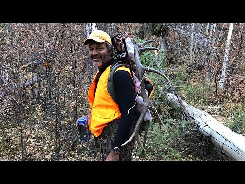 5-Day Horse Pack-In Elk Hunting Camp Deep in the Colorado Backcountry
