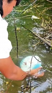 What a wonderful pearl video #digging #river #riverclam #pearls #digger #riverclams #diggingforgold #reels #trendingreels #viralreels | Digging life