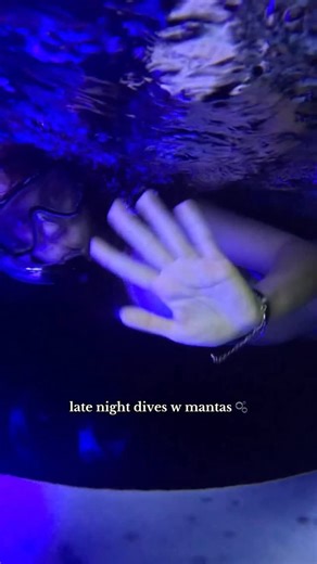 Swim w manta rays w me #mantaray #mantarays #swimming #experience #hawaii #ocean #bigisland | Anya Kay