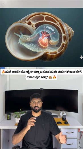Snail The Animal That Can Survive Years Without Food! 🐌😳 | Amazing Snail #shorts #wildlife
