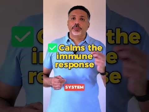 If Your Dog Has IBD, This Is Why Nothing You’ve Tried Has Worked