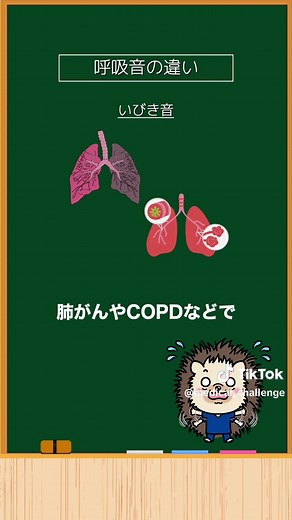 呼吸音の基本と関連疾患を学ぼう