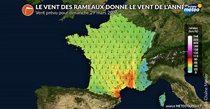 Le vent des Rameaux ce dimanche : un indice météo pour l'été ? - Actualités La Chaîne Météo