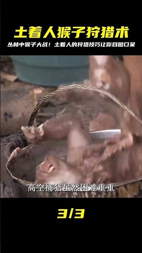 土著人高超的捕獵本領在叢林狩獵猴子，艱苦付出敬畏著偉大的一餐 #即錄觀世界 #紀錄片 #電影 #北極 #因紐特人