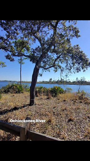 Ochlockonee #river #florida #sunshine #outdoors #park #beautiful #fblifestyle #nativeamerican #yellowater #BeatbyButch #metarayban #glasses | Corey Benedict