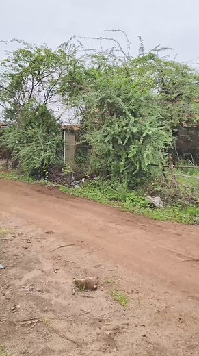 🤣👉 | Comedian vipul