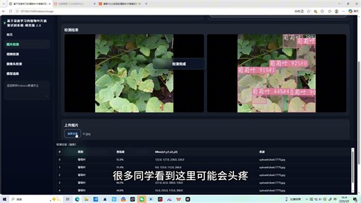 基于深度学习的植物叶片病害识别系统（Web系统 完整项目分享 数据集 多YOLO模型）