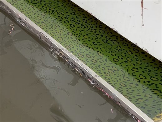 产能翻倍新方法：水转印让你快速换款，不停机多赚米#水转印 #水转印加工 #塑胶水转印#木纹水转印