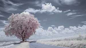 Check Out This Fantastic 8K Infrared Time-Lapse | Fstoppers