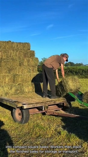 This Tractor Is Turning Hay Into Small Square Bales #farmmachinery
