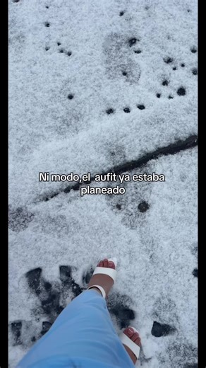 Humorous Insights into Event Planning