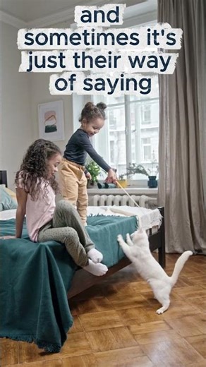 Why Your Cat Knocks Things Off Tables 🐱 Science Explained!