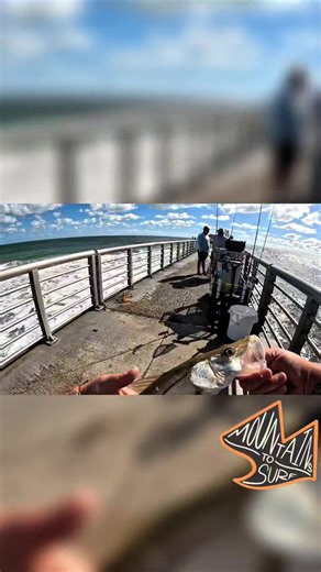 Sebastian inlet snook! #mountainstosurf #trendingreels #fishing #outdoors #ocean #beach #pierfishing #floridafishing | Mason Simpson