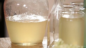 Bezová šťáva — Herbář — Česká televize