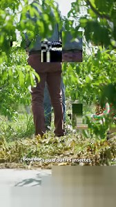 Vous avez des projets de rénovation ⚒ ou d'économies d'énergie 💡 ? Avec Auchan, recevez jusqu'à 2000€ de Prime Eco Energie pour financer vos projets ! 💶 Les travaux éligibles : ✔️ Isolation thermique ✔️ Chauffage et Régulation ✔️ Energies renouvelables ✔️ Ventilation Voir conditions et éligibilité sur https://www.prime-eco-energie.auchan.fr/ | Auchan