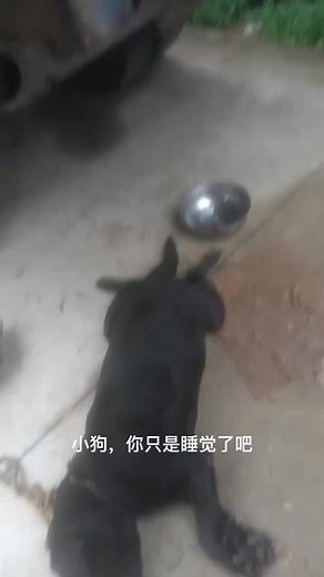求一张复活卷轴