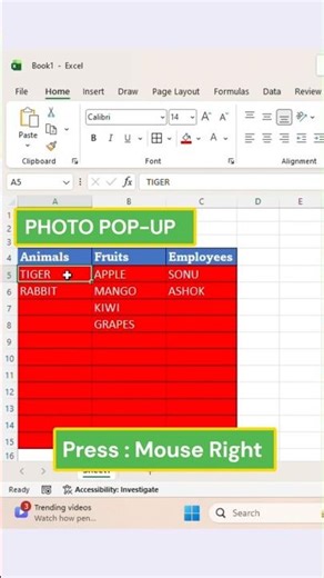 Excel Photo Pop-Up | Cell Photo Pop-Up Trick in Excel #excel #shorts #pop-up