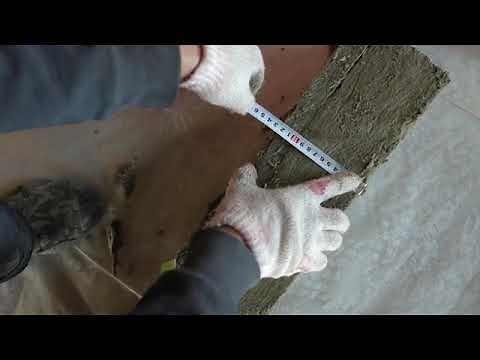 Installation CFS SP WP