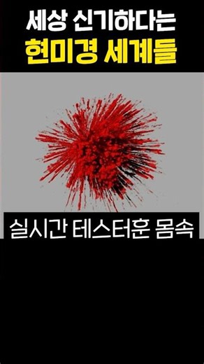 현미경으로 본 세상