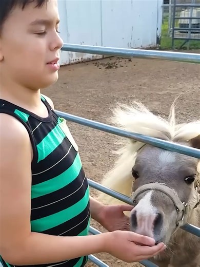 Kids' Hilarious Adventures at the Zoo