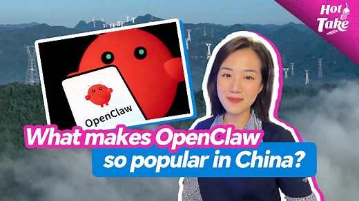 'Raising a lobster' in China: Behind the OpenClaw mania