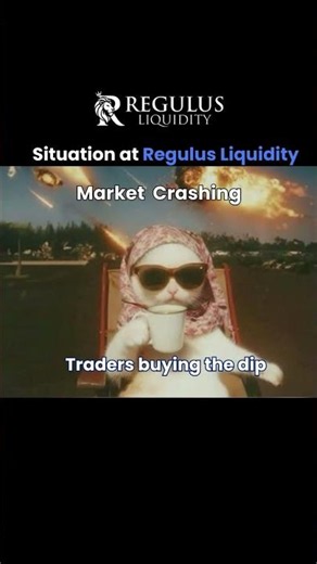 Regulus Liquidity Market Crash Meme | Traders Buying Every Dip 😂