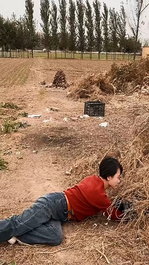 Viral Adorable Fat Rabbit overload of fluff! #funny #viral #bunny | Adorable Fat Rabbit | Facebook