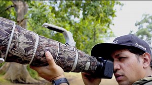 1.5M views · 6.7K reactions | Tracking and focusing of the moving subjects, in unforeseen conditions of the jungle is the biggest challenge for any wildlife photographer. Watch our #EOSMaestro, Sagar Gosavi Sagar Gosavi, showcase how the EOS R6 overcomes these challenges. #Canon #EOSR6 #CanonPhotography #Photography #Videography #WildlifePhotography | CANON India | Facebook