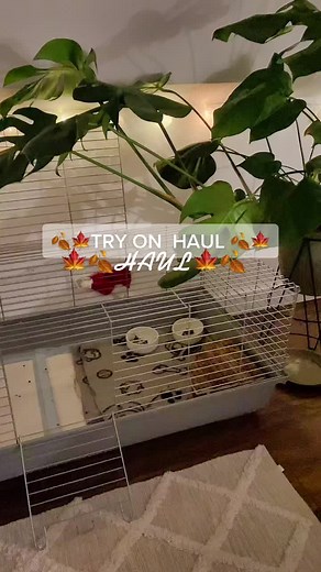 🍁🍂TRY ON HAUL🍁🍂#haul @TikTok #dlaciebie