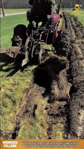 Satisfaction Guaranteed! Deep Plowing with a Vintage Farmall Cub