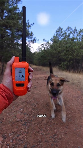 Dogtra PATHFINDER2 Mini Compass Review | GPS Dog Tracking with NO Subscription