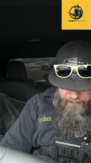 Cockroach Control: Alpine WSG Application Secrets Revealed! #shorts