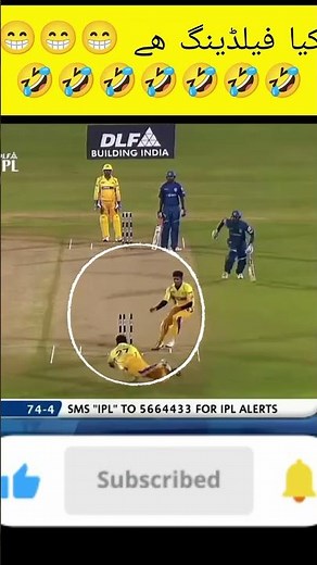 Cricket Funny Moments: The Insane Fails Nobody Talks About in 2024