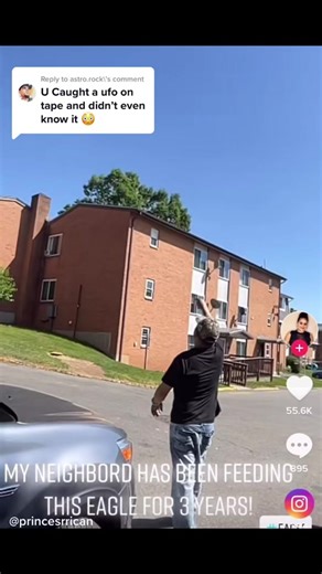 Reply to @astro.rock Footage of a UFO Accidentally caught on tape. #ufo #orb #orbs #caughtoncamera #caughtontape #flyingobject #unidentifiedflyingobjects #spirit #spirtualtiktok #realm #woke #cern #unknown #truthseeker #firmament #5thdemension #fourthdemension #caughtin4k #fyp #followformorevideo #questioneverything