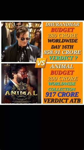 #Dhurandhar 🆚 Animal #box office collection comparison