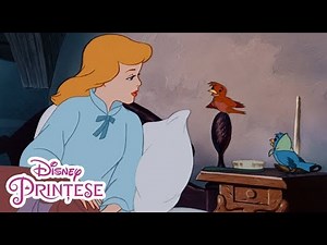 Cenușăreasa | Visul este o dorință a inimii tale | Disney Prințese