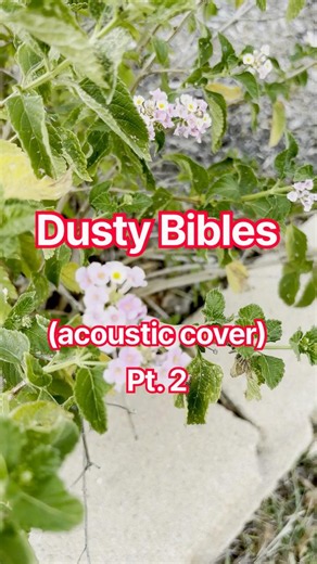 cover of 'Dusty Bibles' by Josiah Queen - part 2