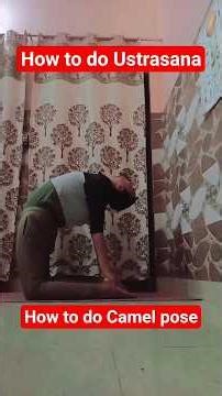 How to do ? Ustrasana ( 🐪 🐫 pose ) #yogashorts #yogaskills #shortsvideo #youtubeshorts